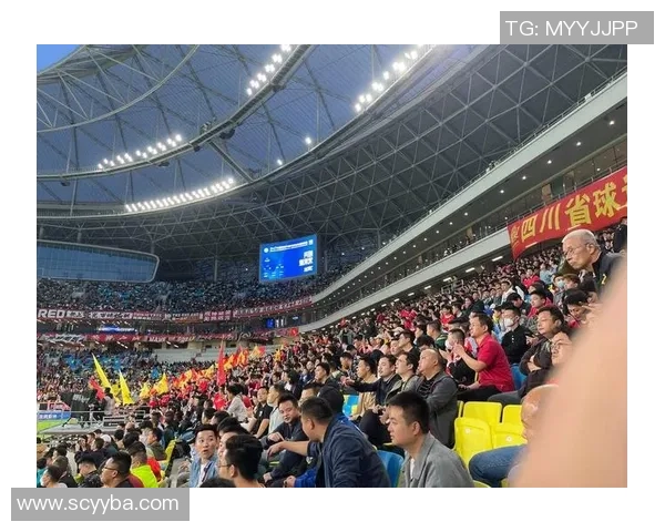 全国足球明星签名盛典精彩回顾与球迷互动活动全记录