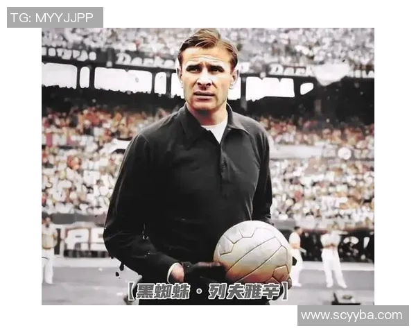 全球足球明星数量究竟有多少位他们的成就与影响力如何分析