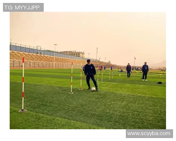 混合球足球的魅力与发展前景探讨及其对传统足球的影响分析 混合球足球的魅力与发展前景探讨及其对传统足球的影响分析