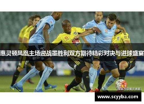 惠灵顿凤凰主场迎战墨胜利双方期待精彩对决与进球盛宴