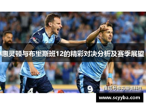 惠灵顿与布里斯班12的精彩对决分析及赛季展望