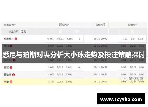 悉尼与珀斯对决分析大小球走势及投注策略探讨 悉尼与珀斯对决分析大小球走势及投注策略探讨