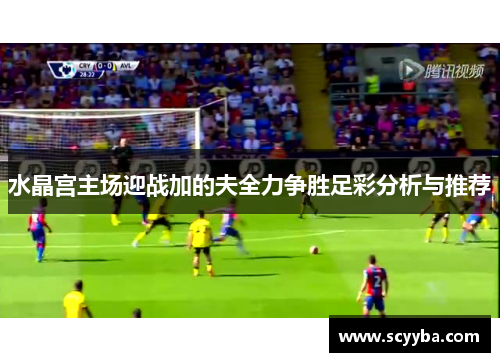 水晶宫主场迎战加的夫全力争胜足彩分析与推荐
