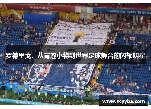 罗德里戈：从青涩小将到世界足球舞台的闪耀明星